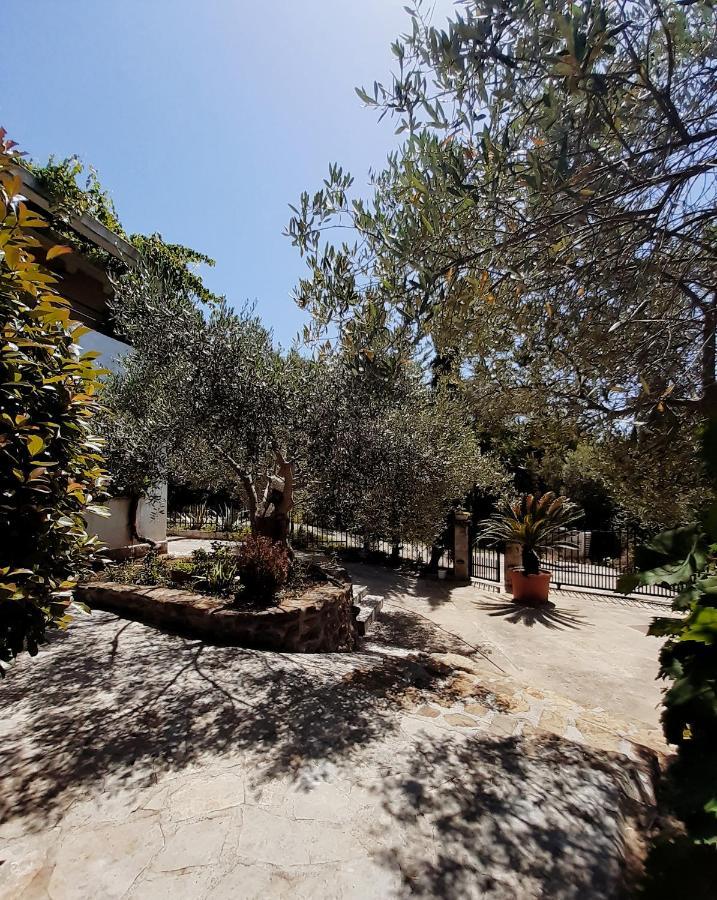 Resort "Maslinjak" Bečići Luaran gambar